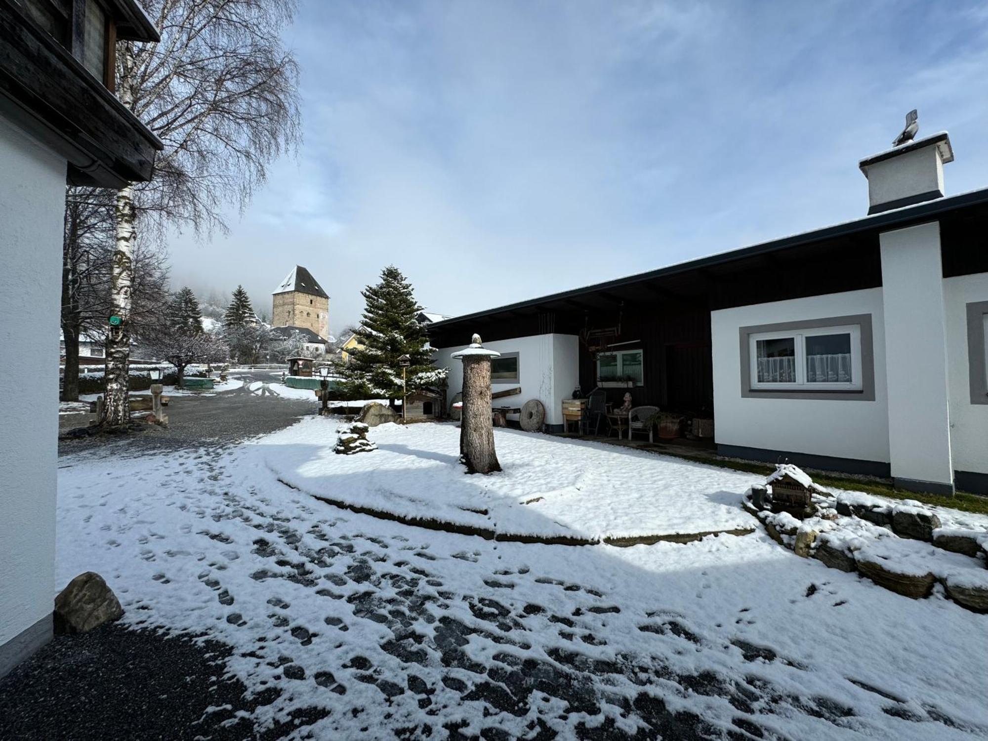 Ferienhaus-Roemerthurm Schöder Eksteriør billede
